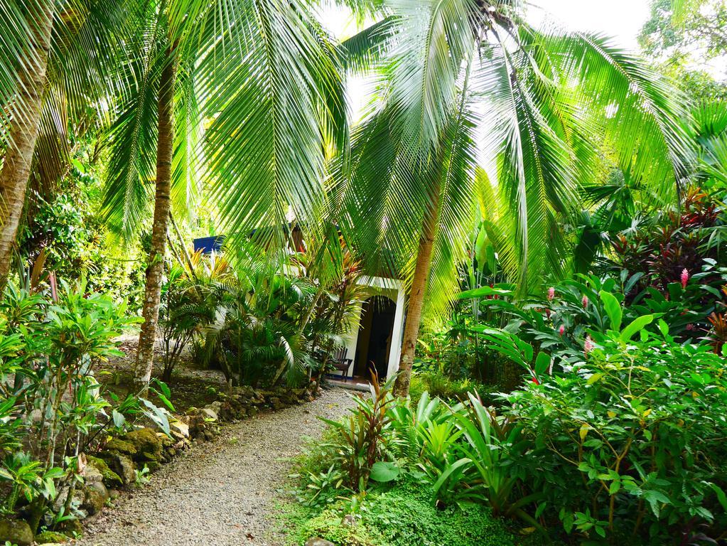 Cabinas Tito Cahuita Room photo